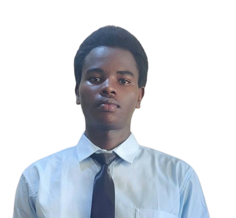 Peter Frank — Principal Consultant